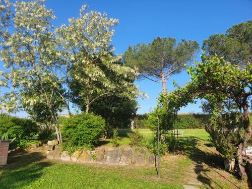 Double Room with Garden View - Photo 36