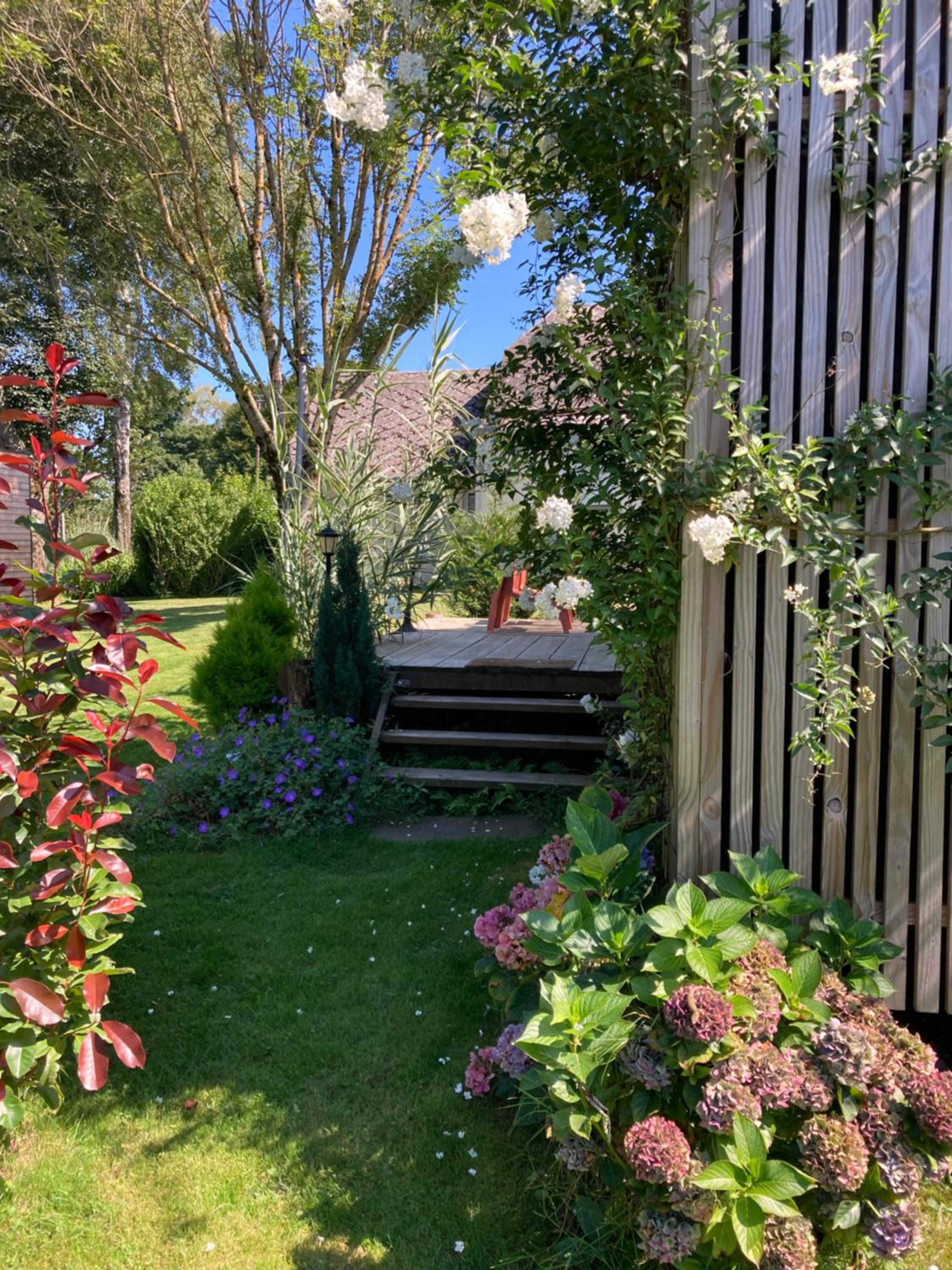 Double Room with Garden View photo 1