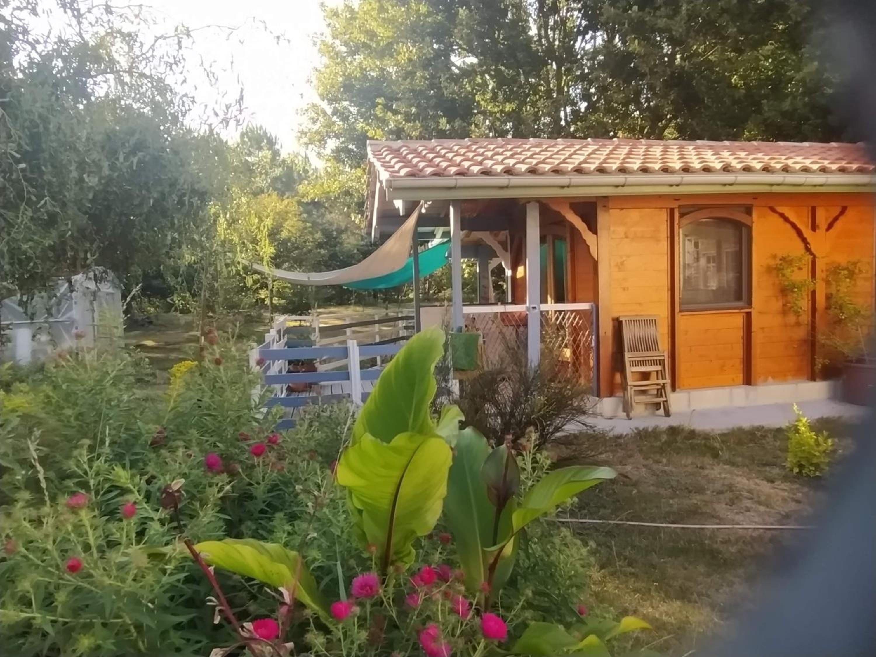 Double Room with Garden View photo 1