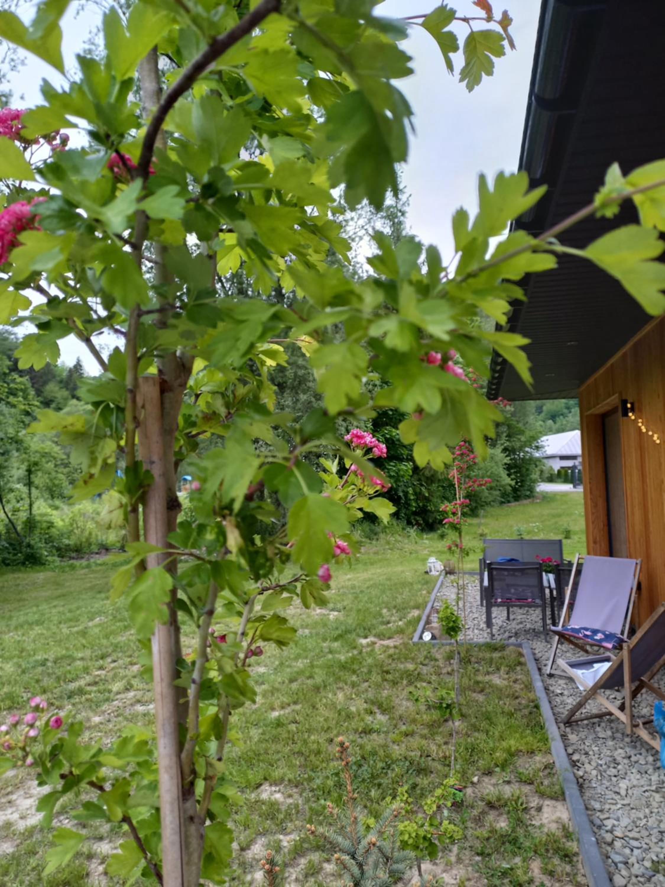 Three-Bedroom Villa - Photo 4