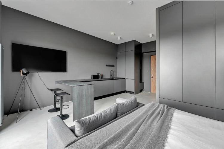 One-Bedroom Apartment - Photo 5