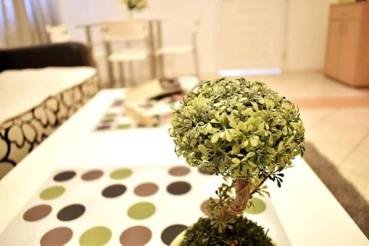 Apartment - Ground Floor photo 3