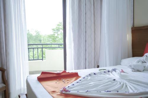 One-Bedroom Apartment - Photo 4