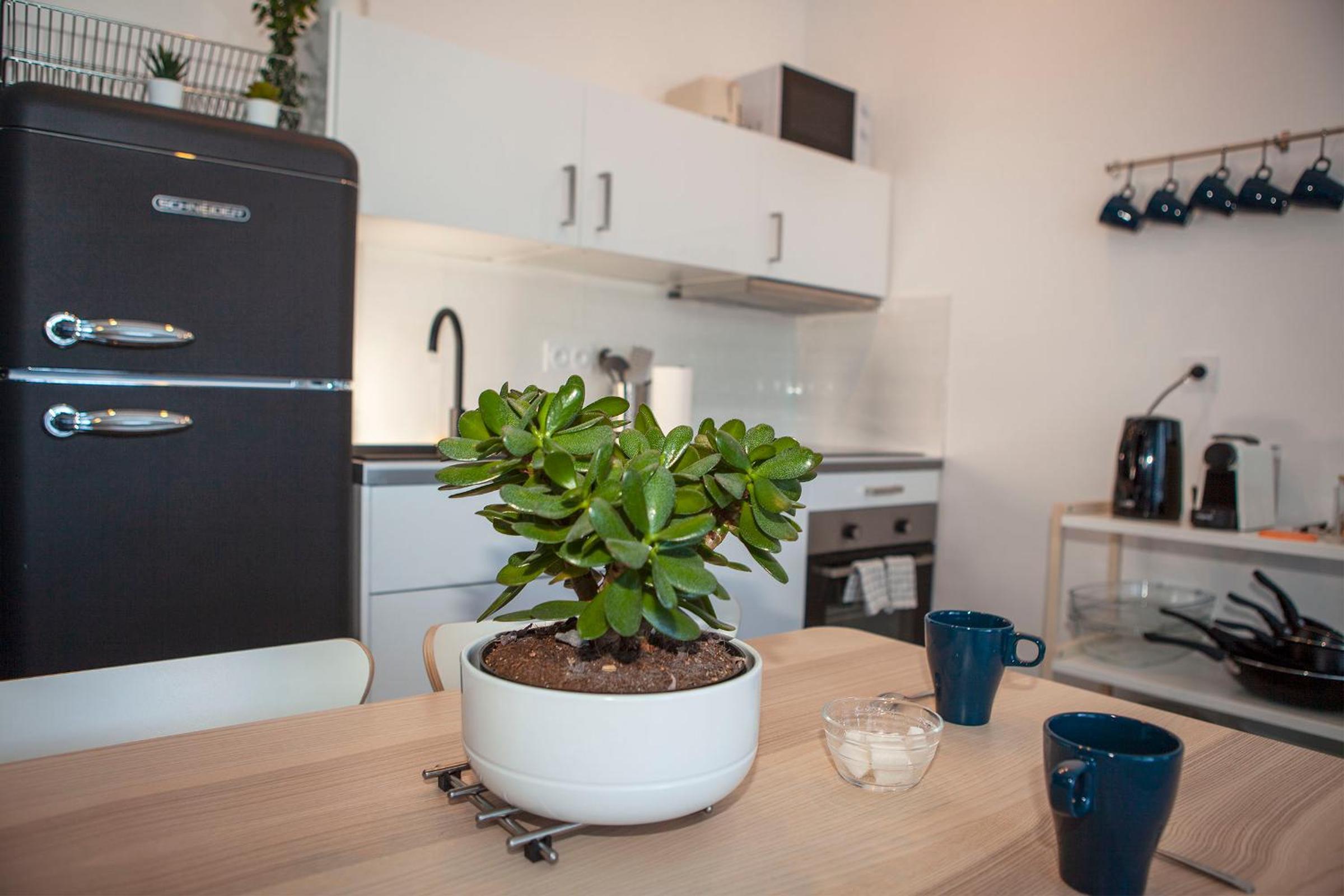 Apartment - Photo 11