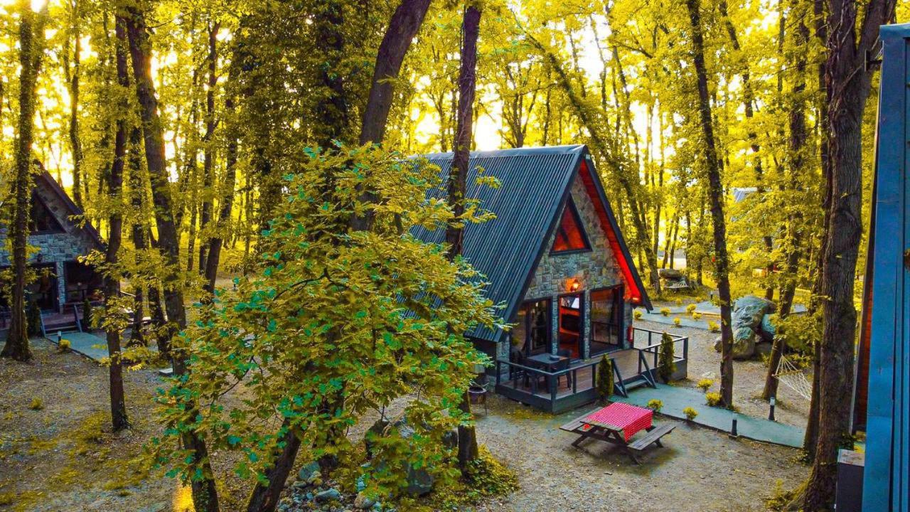 Double Room with Patio