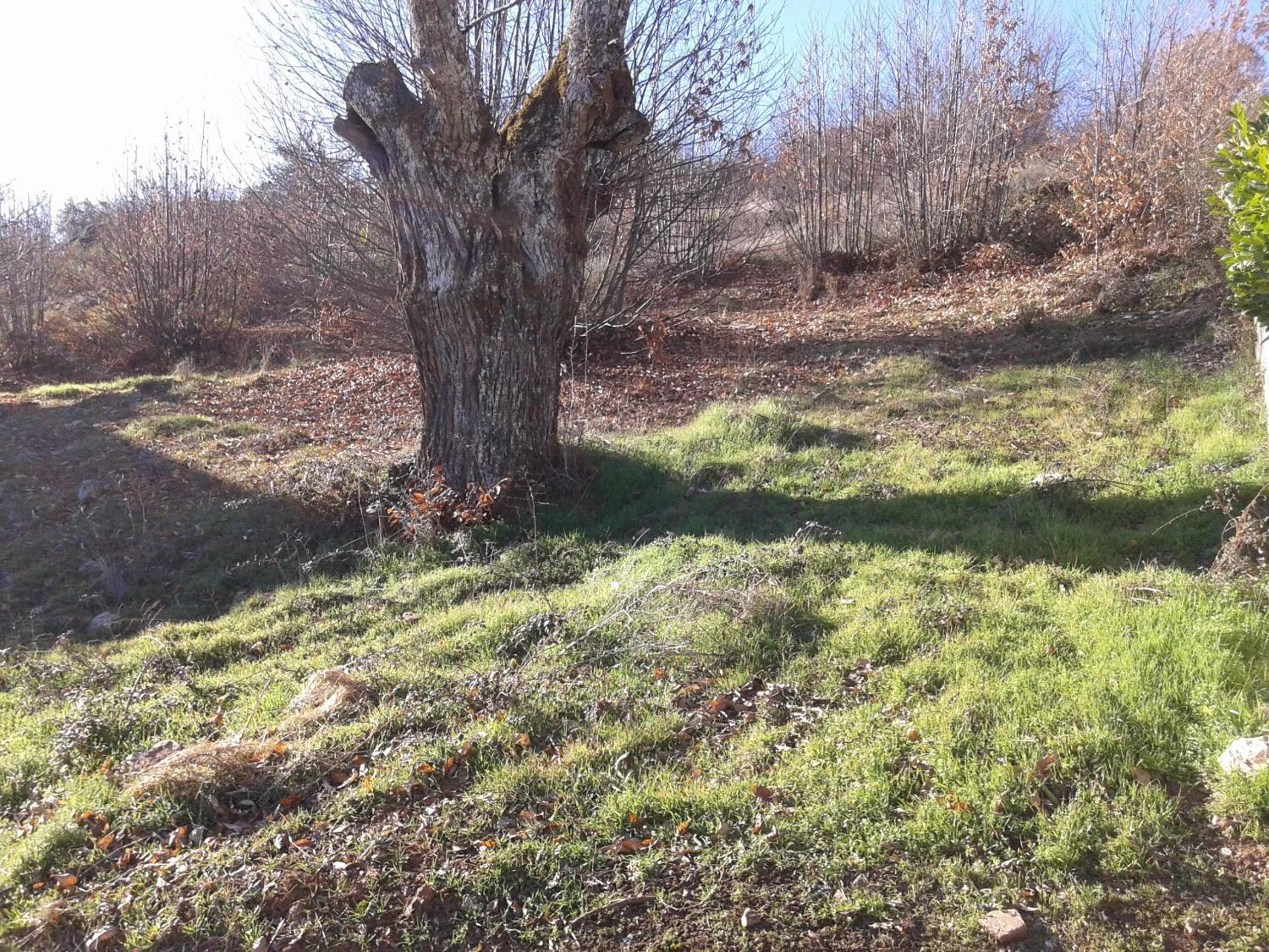 Holiday Home - Photo 28