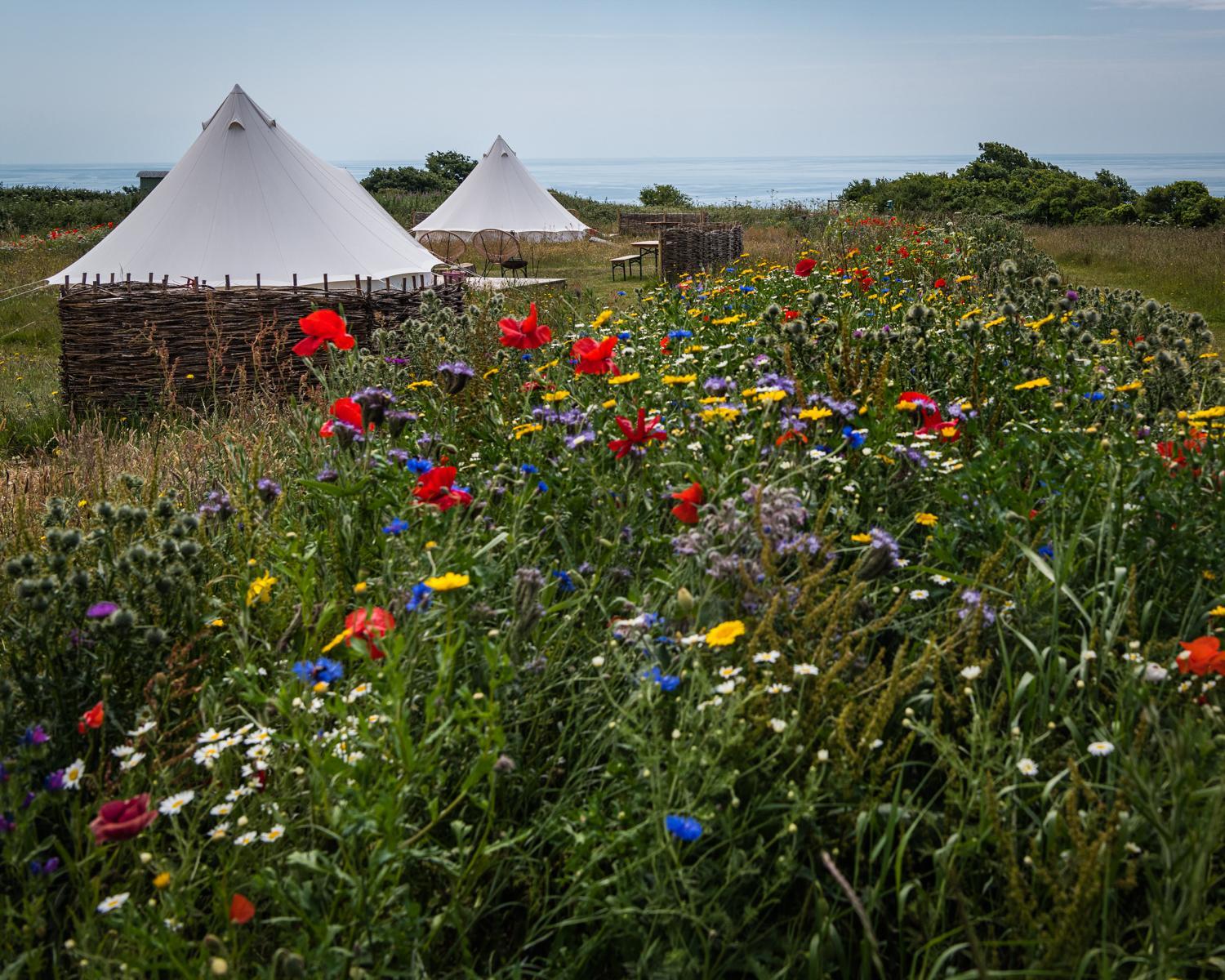 type 3 - 5.0m Luxe Bell Tent and viewing deck photo 1