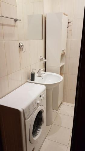 Apartment - Ground Floor - Photo 4