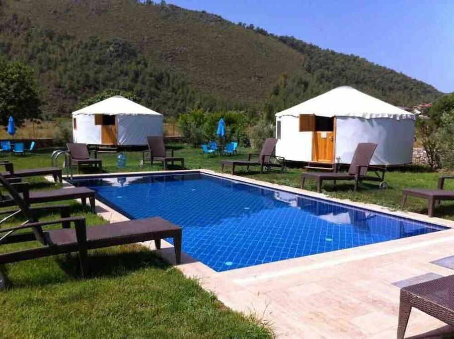 Holiday Home photo 1
