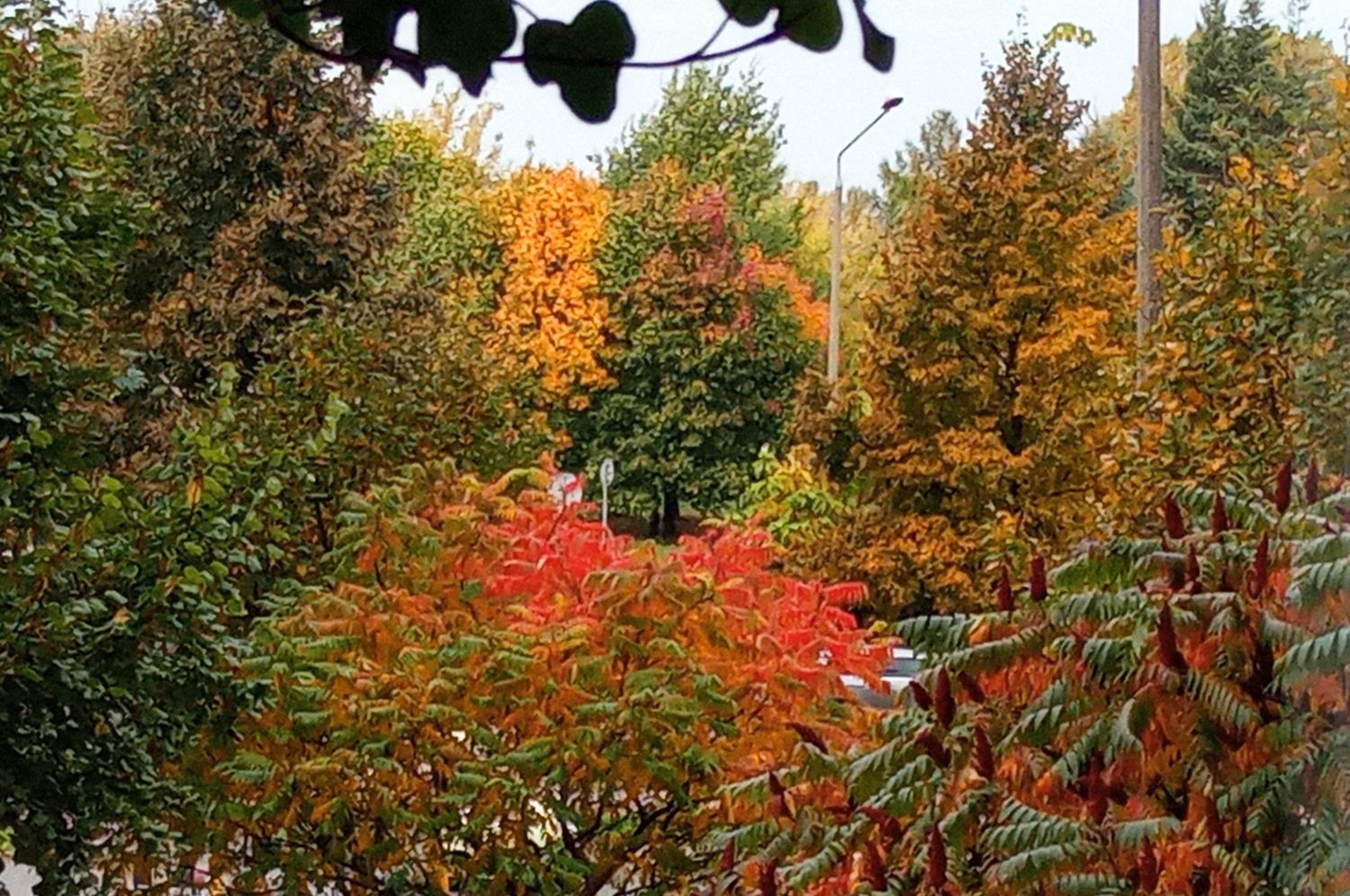 Apartment with Garden View photo 1