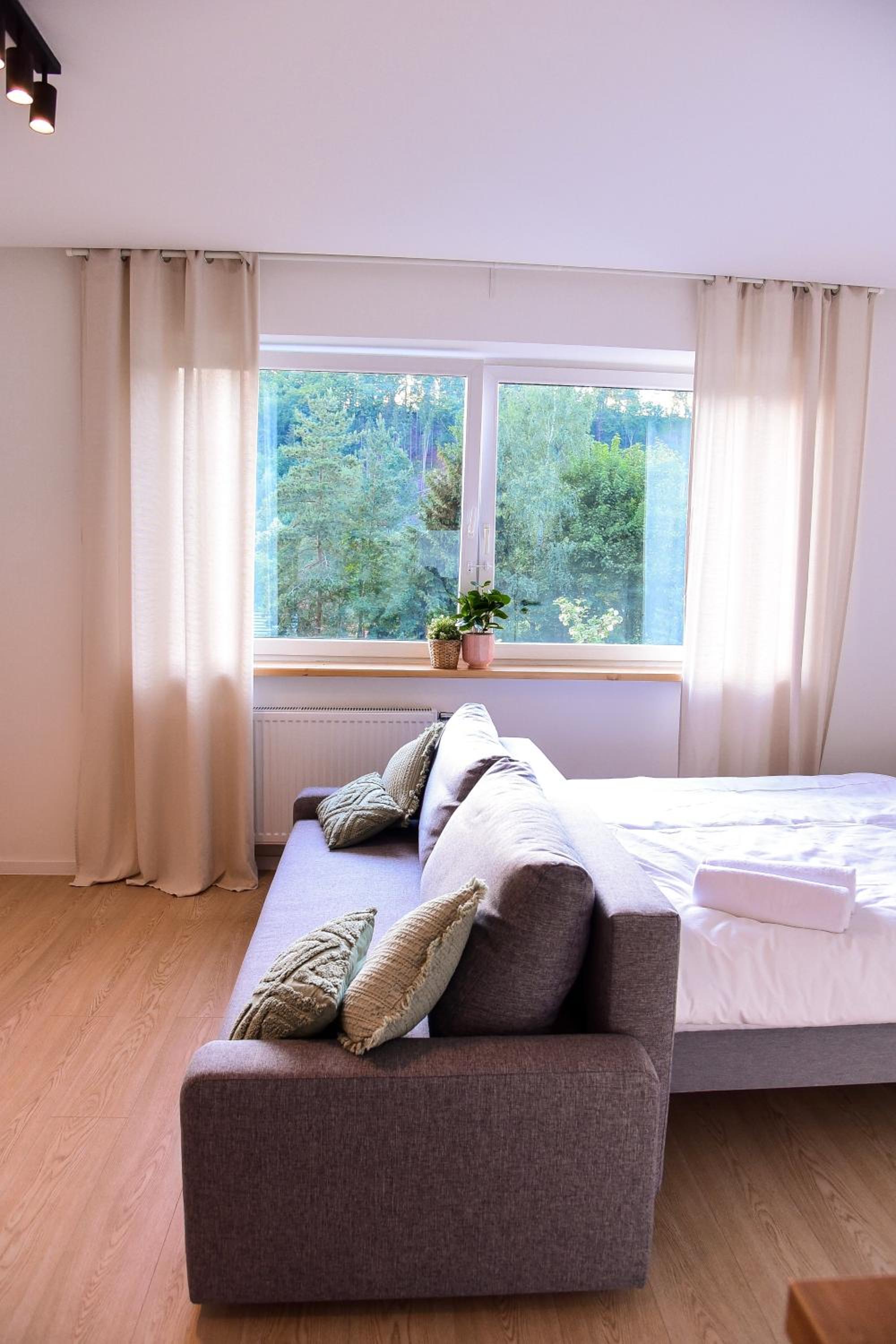 Studio with Mountain View