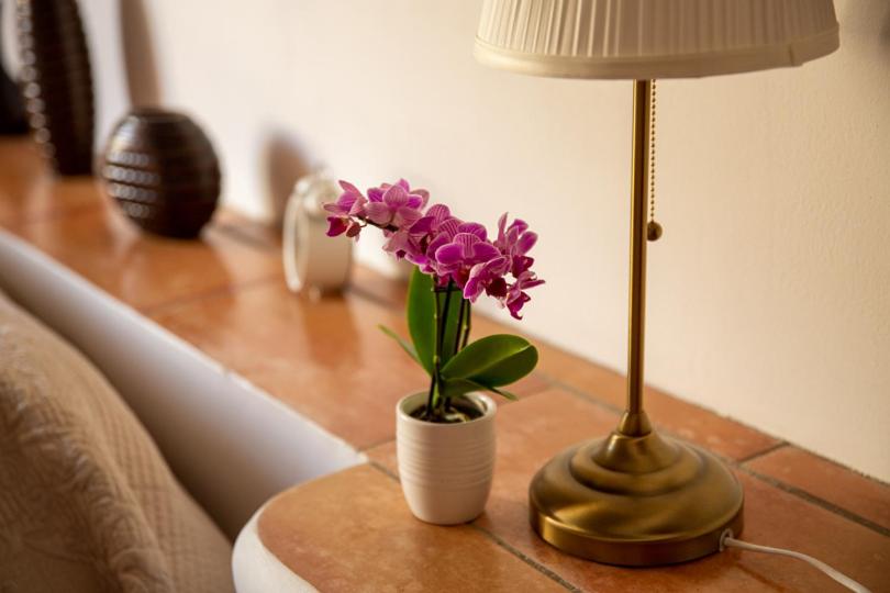 Superior Suite - Photo 11