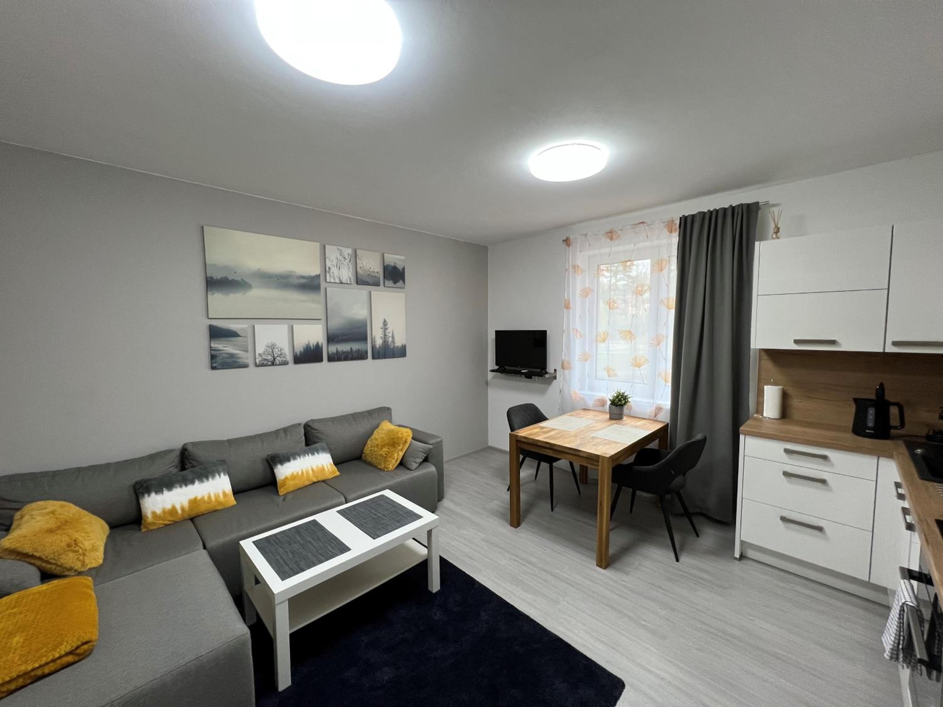 One-Bedroom Apartment photo 3