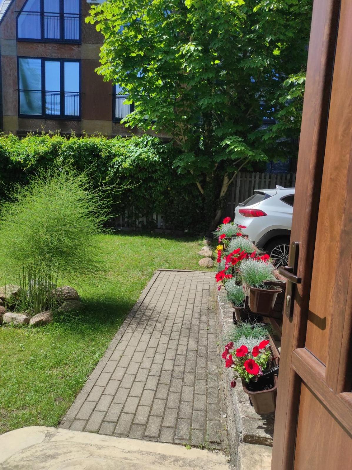 Apartment - Ground Floor - Photo 4