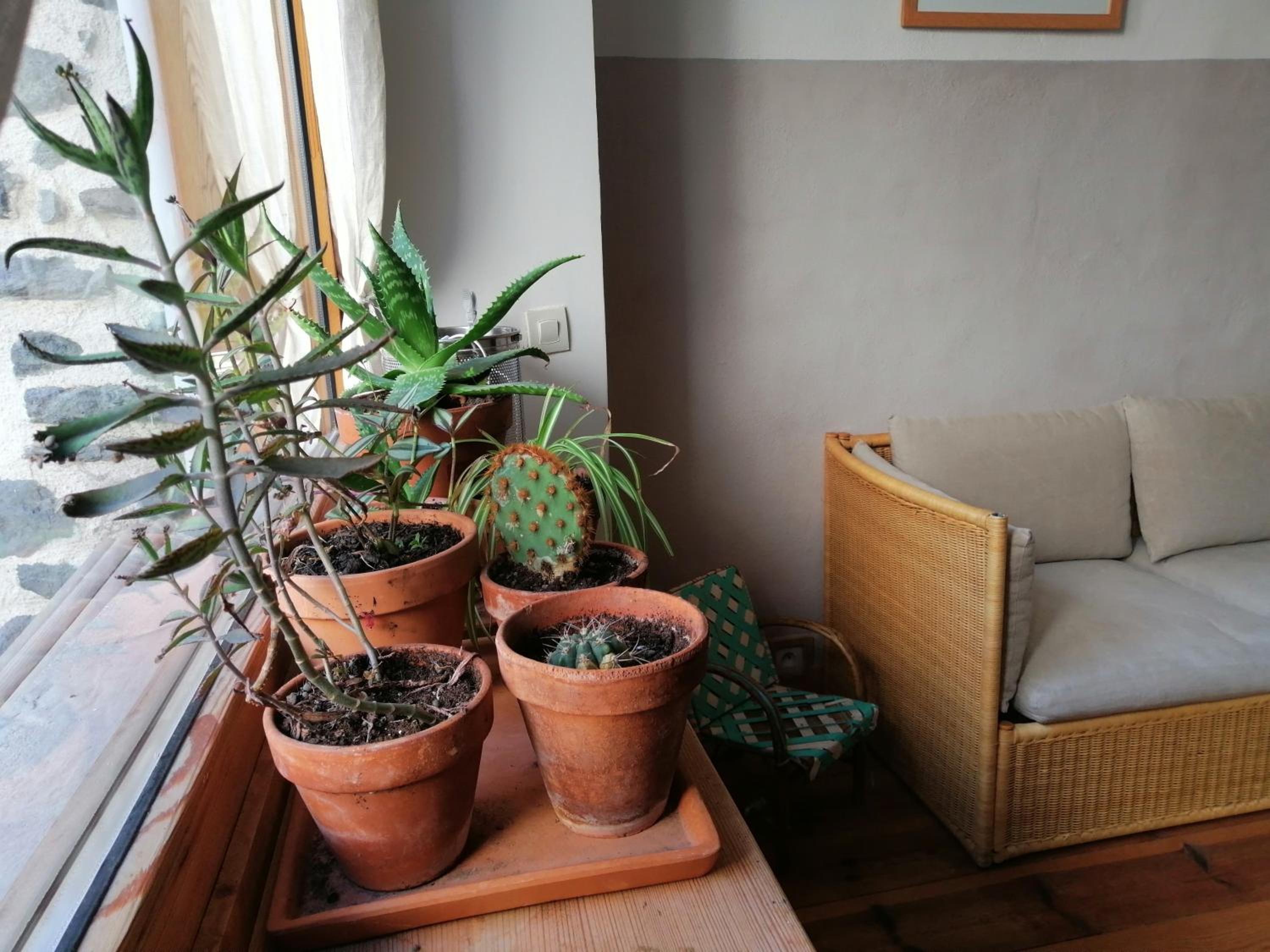 Twin Room with Private Bathroom photo 2