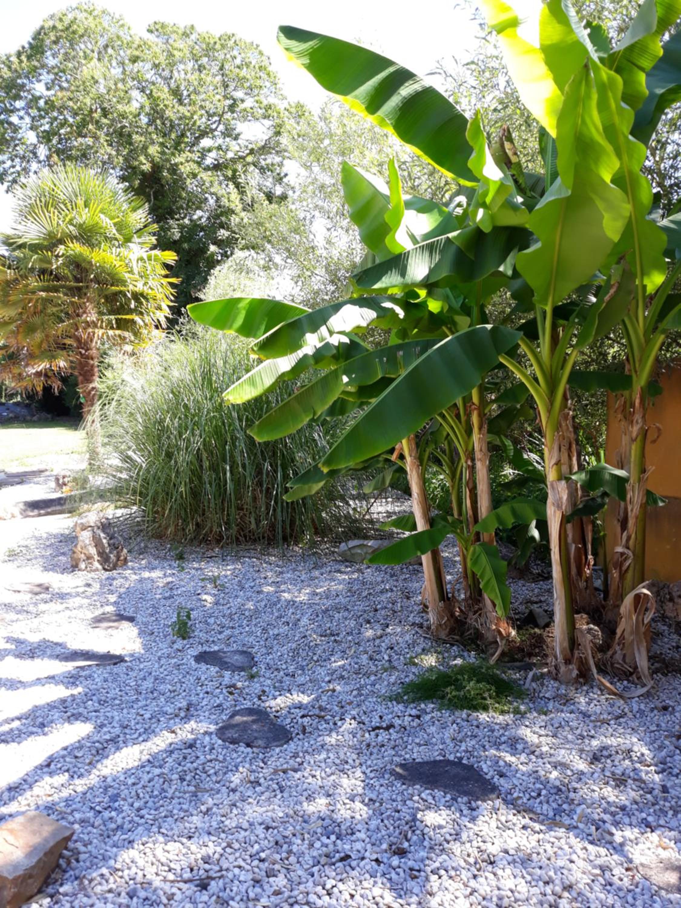 Double Room with Garden View - Photo 2