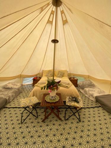 Tent photo 1