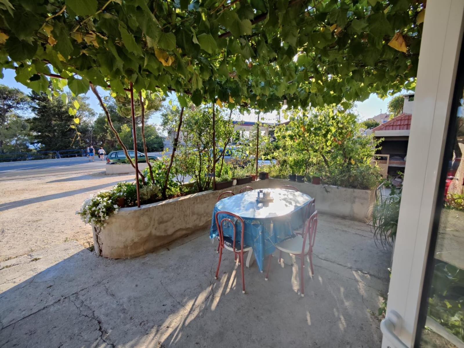 Studio with Garden View