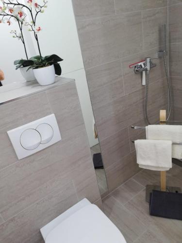 One-Bedroom Apartment - Photo 3