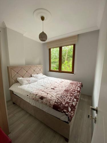 Apartment with Balcony - Photo 11