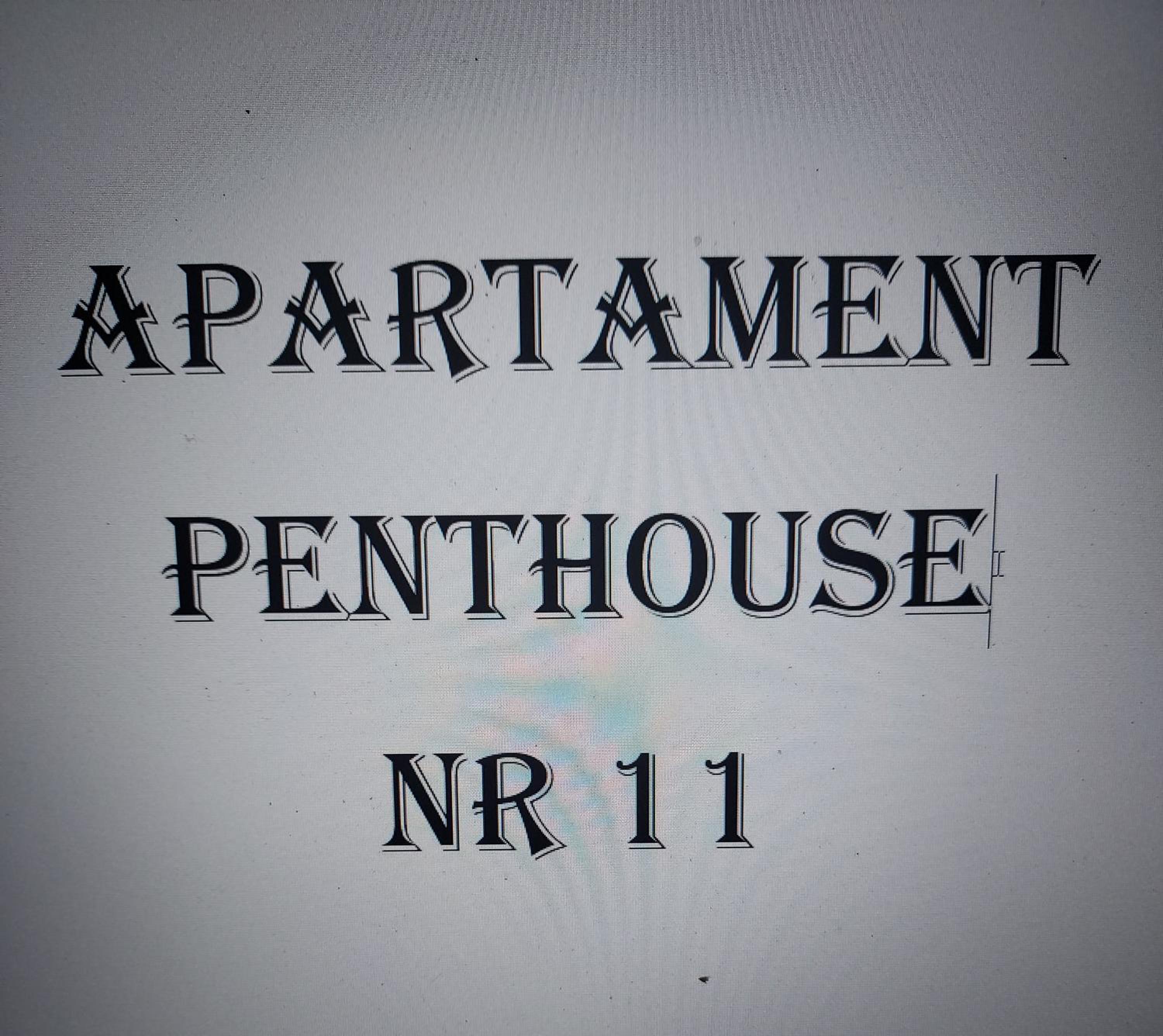 Penthouse Apartment photo 1