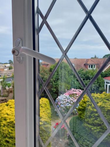 Single Room with Garden View photo 1