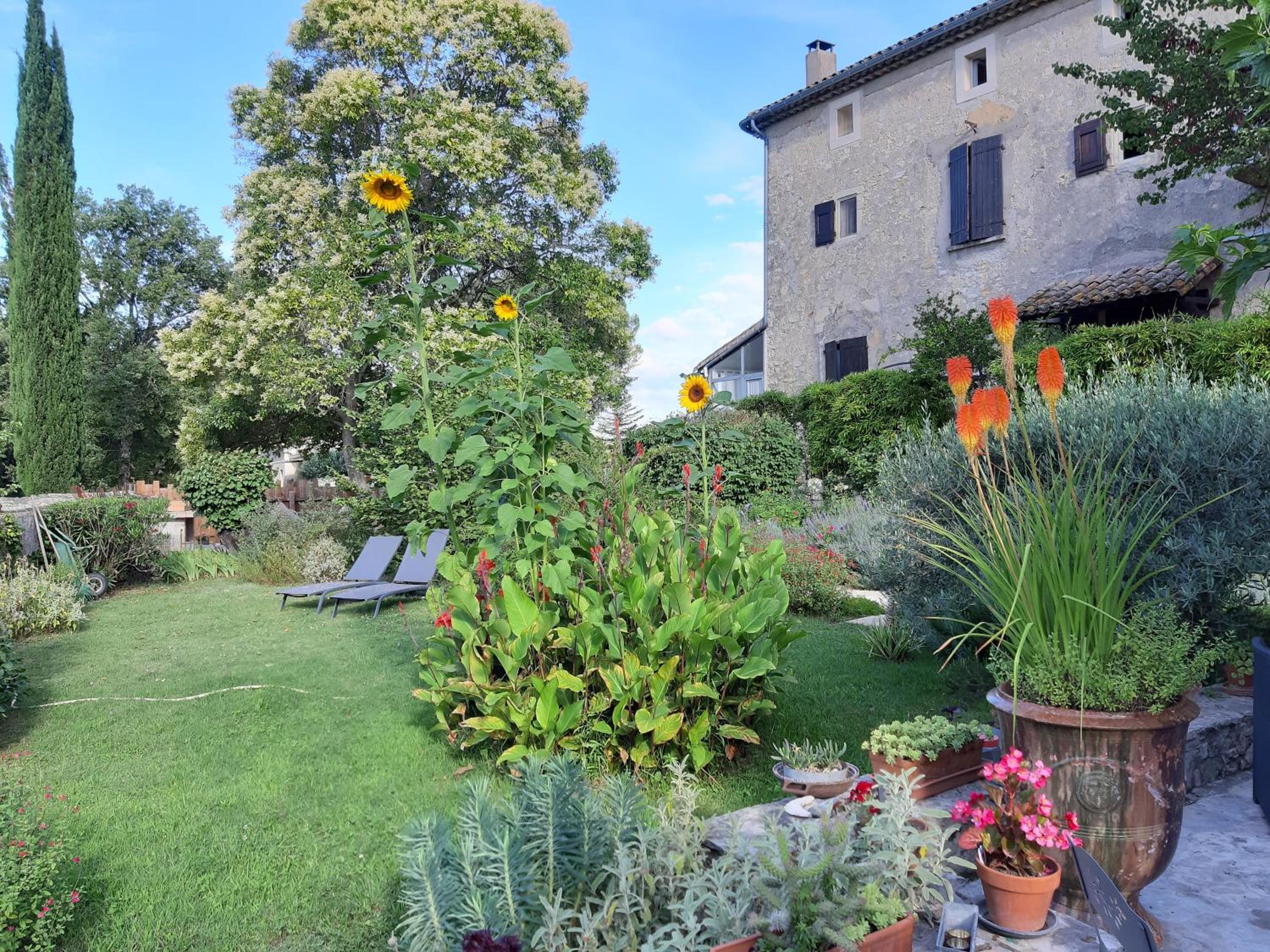 Family Room with Garden View photo 3