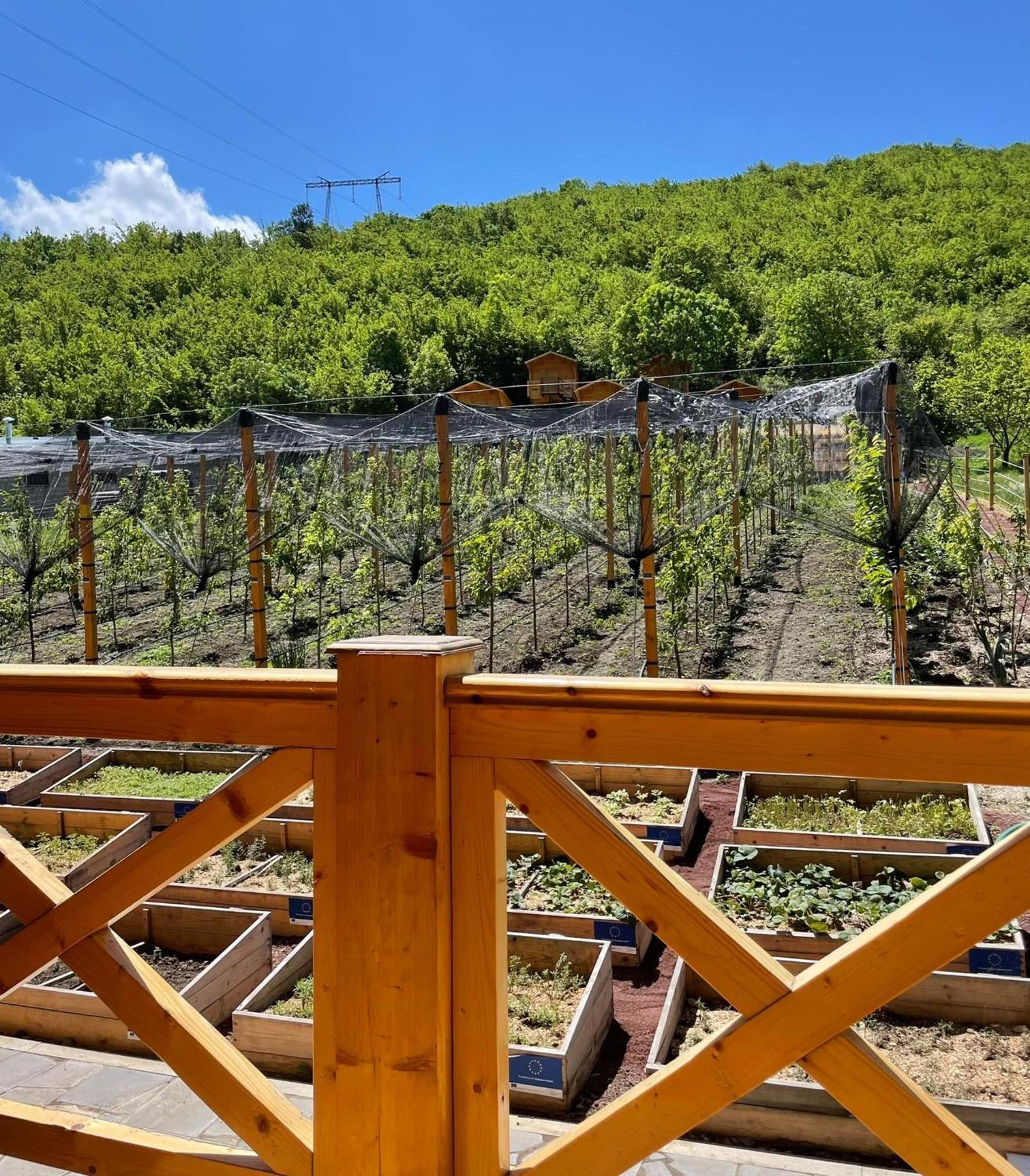 Twin Room with Balcony photo 1