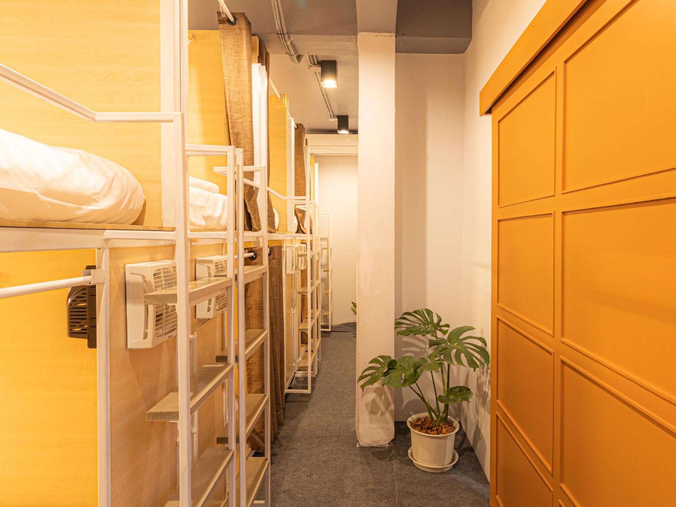 Single Bed in Dormitory Room photo 1