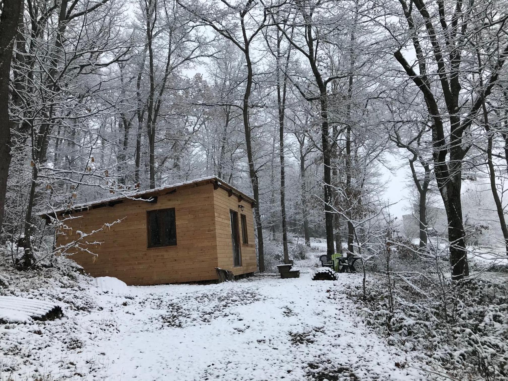 Two-Bedroom Chalet photo 1
