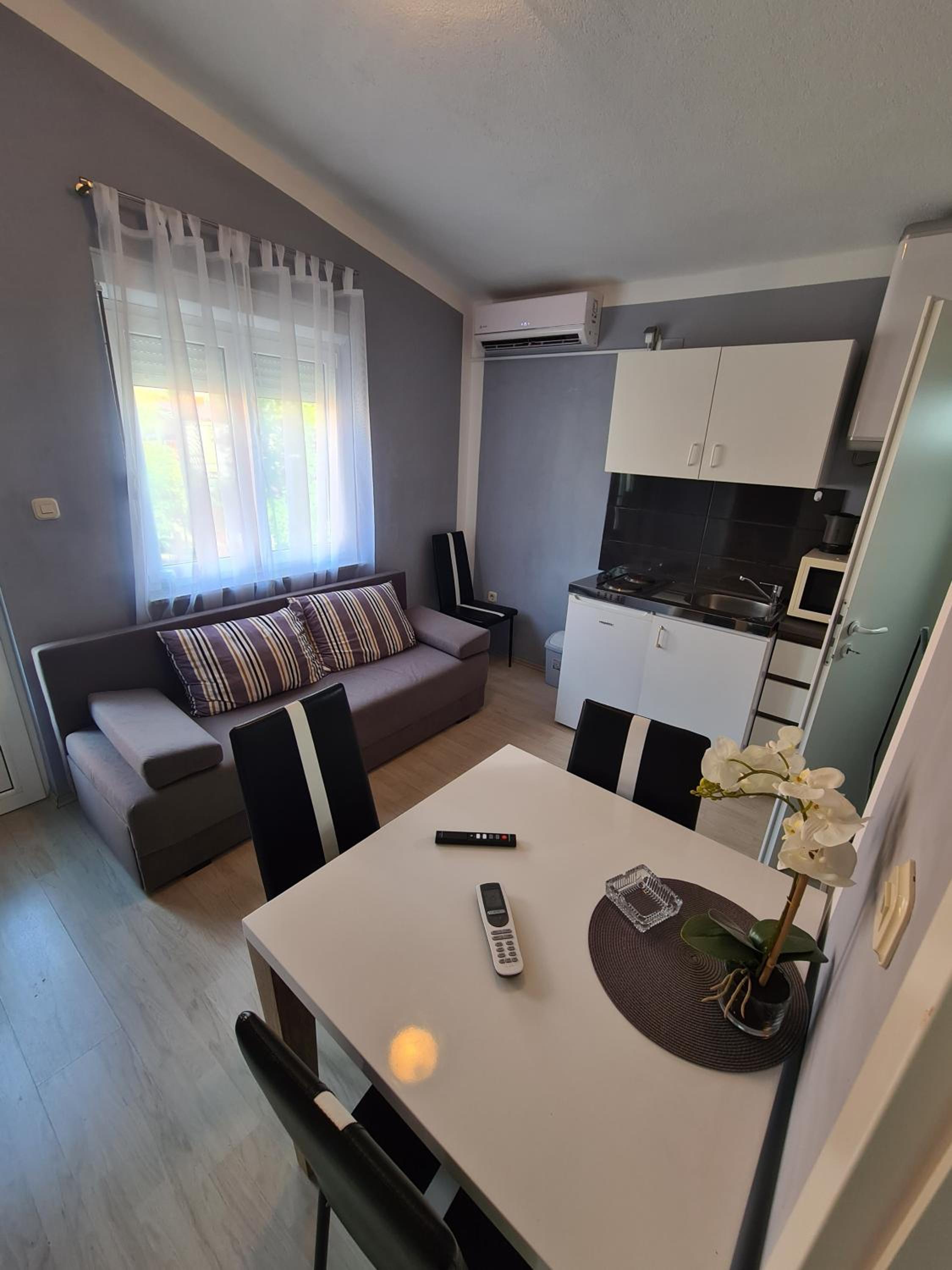 Apartment with Mountain View