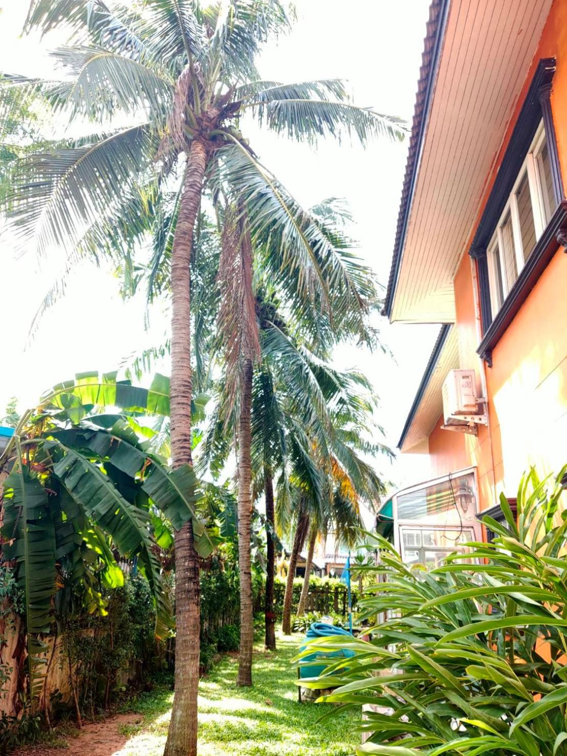 Villa with Private Pool - Photo 16