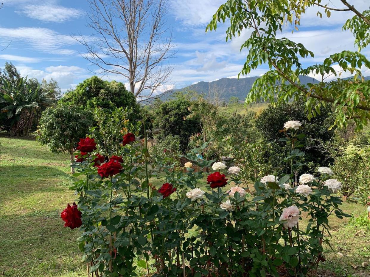 Triple Room with Mountain View - Photo 3