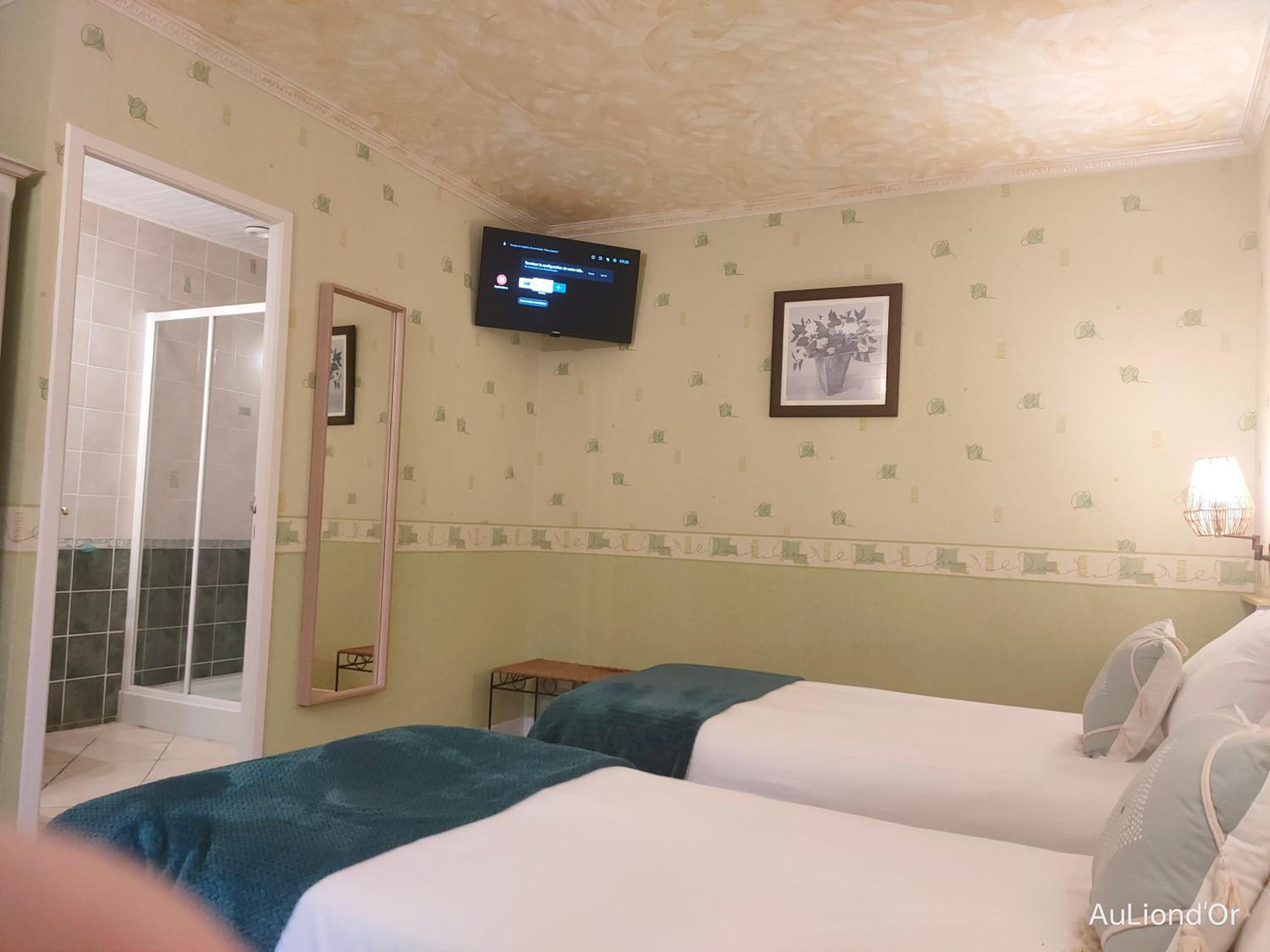Standard Twin Room photo 3