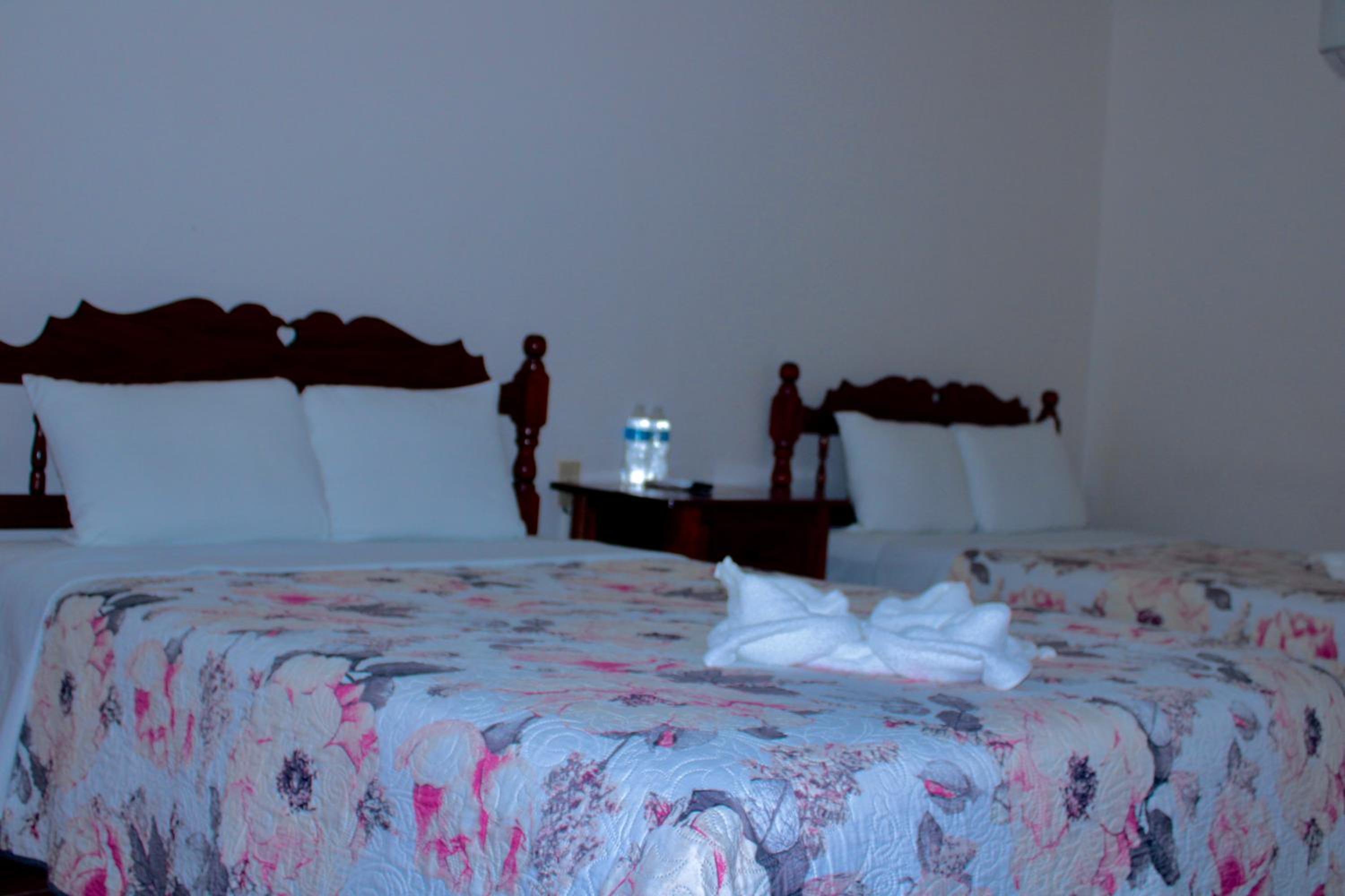 Twin Room with Bathroom photo 3
