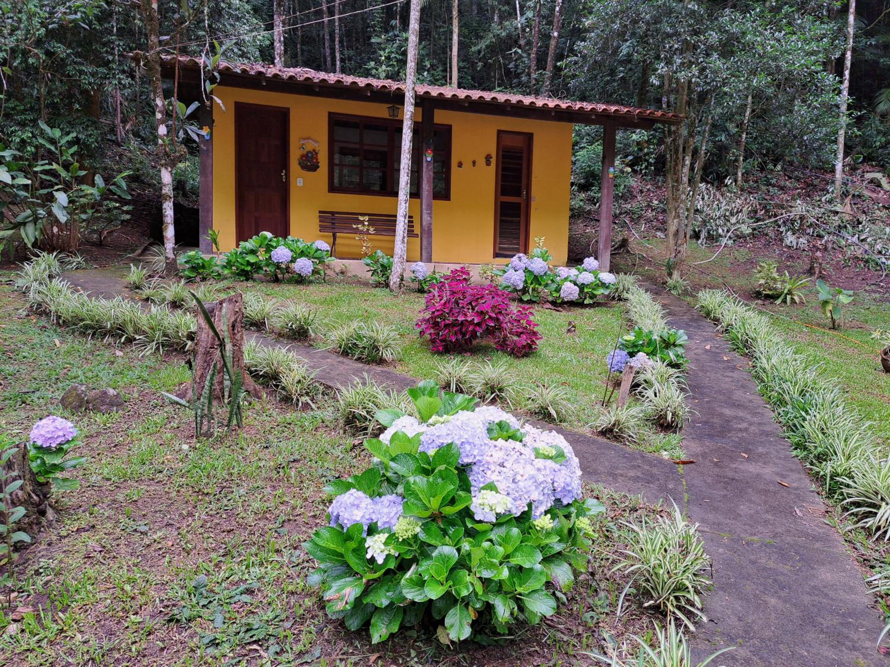 Family Room with Garden View photo 1