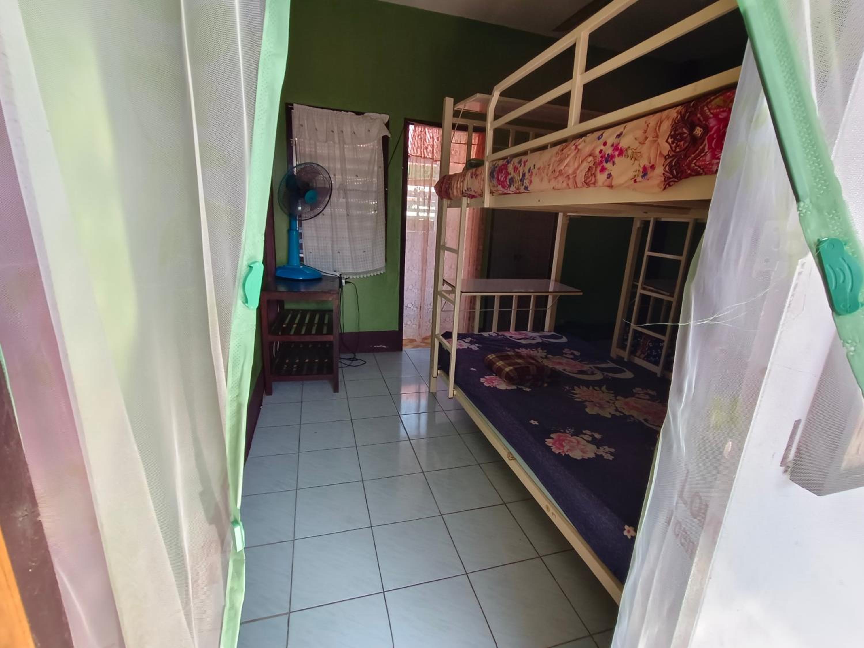 Bunk Bed in Mixed Dormitory Room photo 1