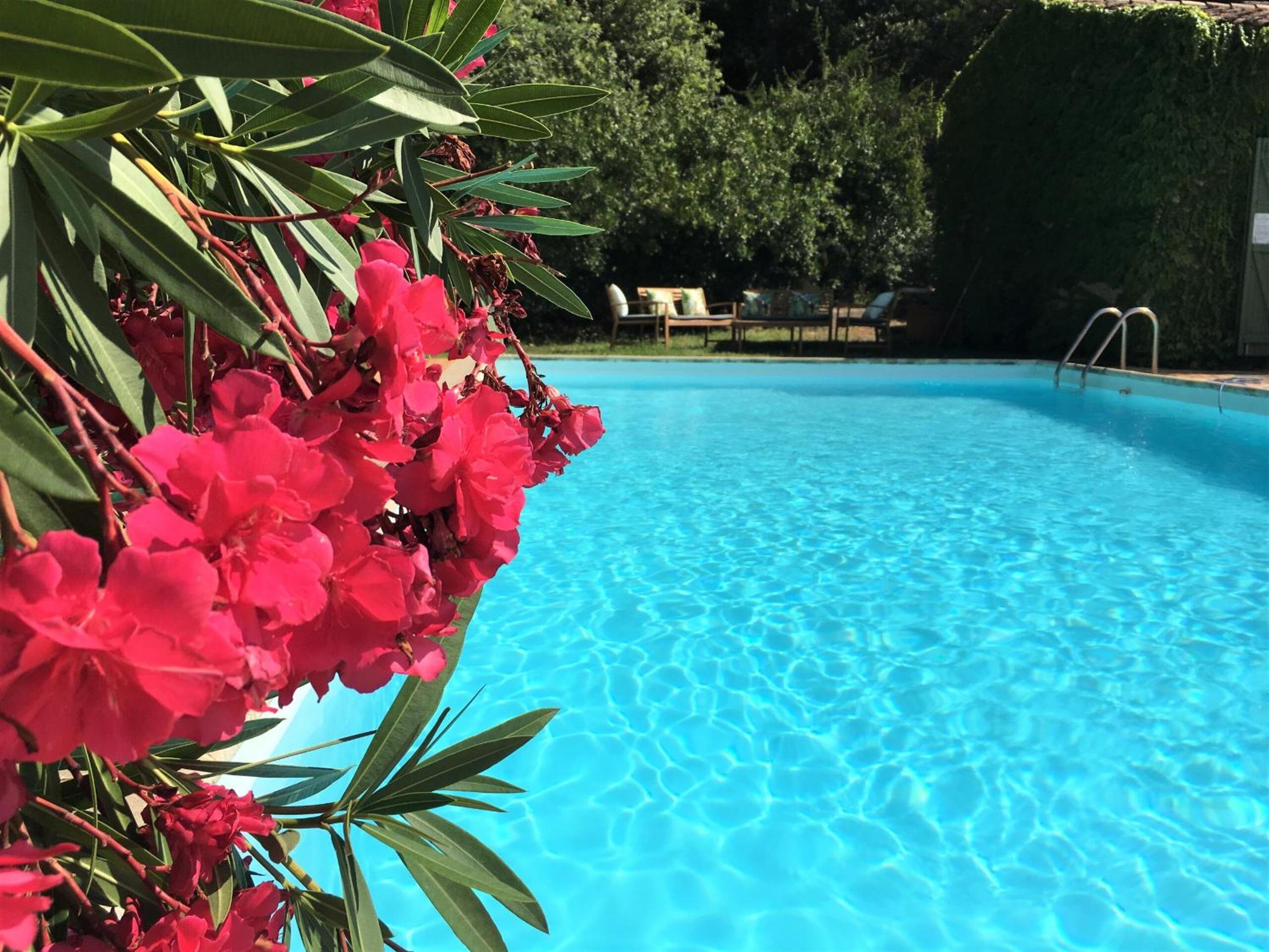 Holiday Home photo 1