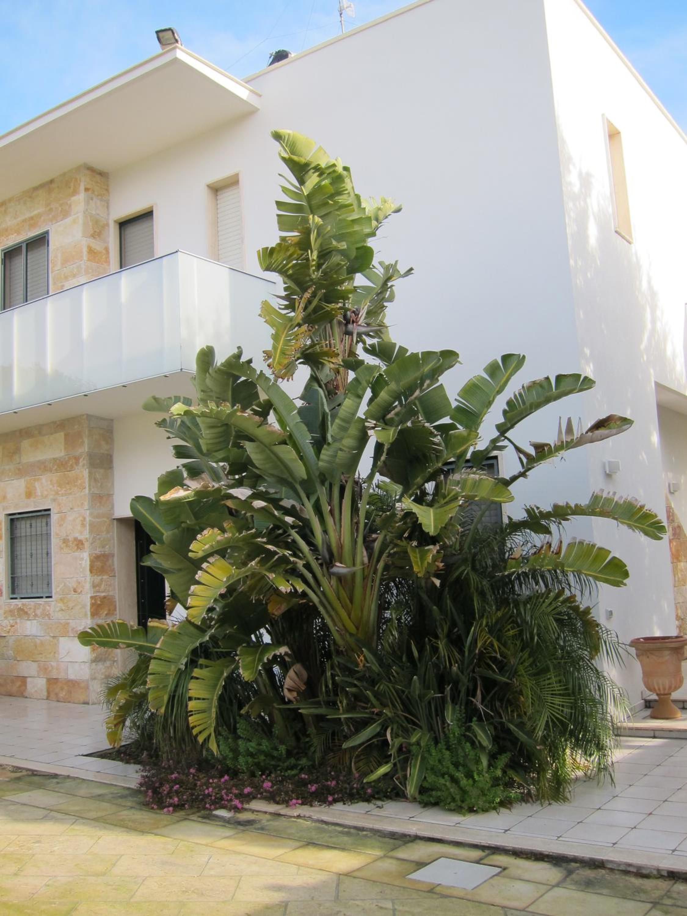 Double Room with Balcony photo 3