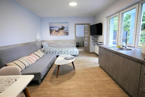 Apartment with Terrace photo 3