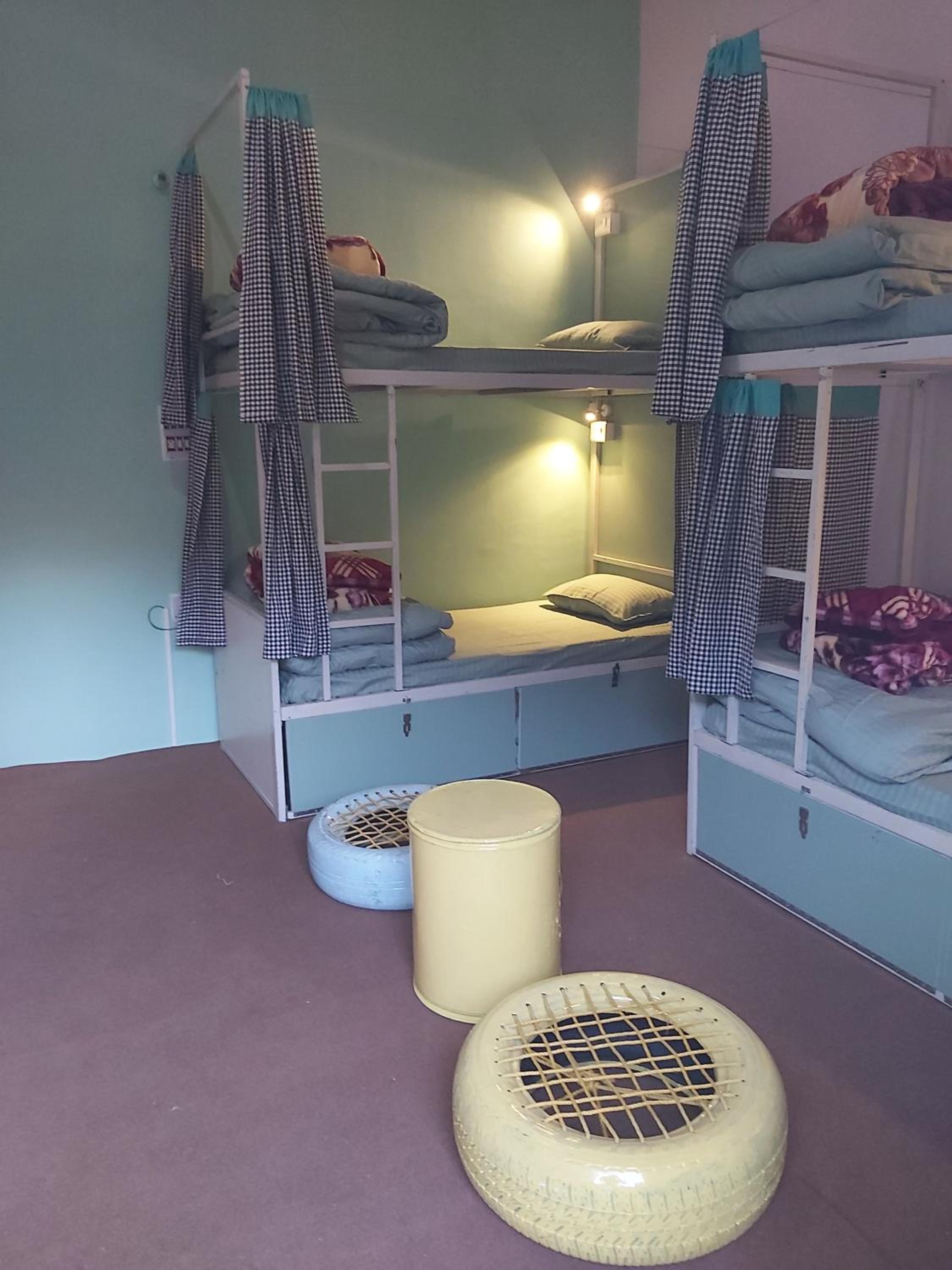 Bunk Bed in Mixed Dormitory Room