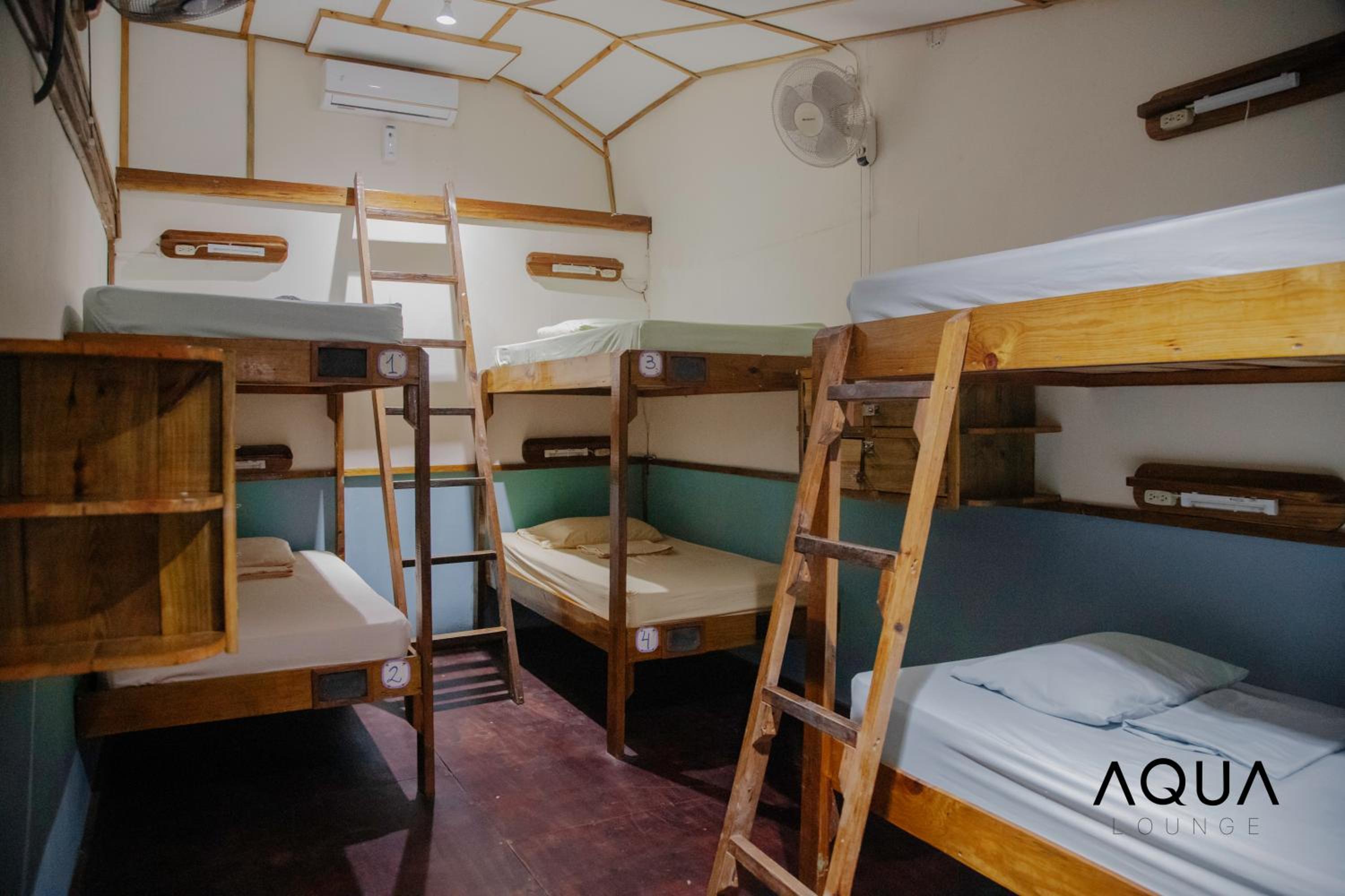 Bunk Bed in Mixed Dormitory Room photo 1