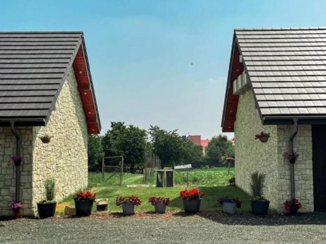 Deluxe Double Room with Extra Bed photo 1