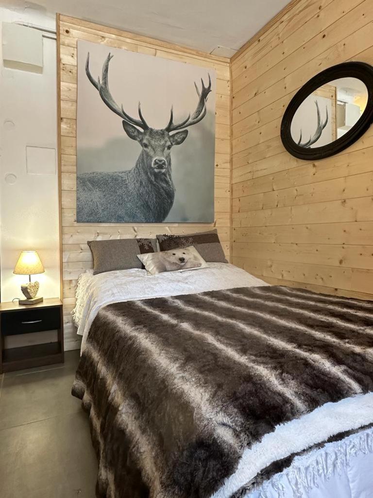 One-Bedroom Apartment - Photo 1