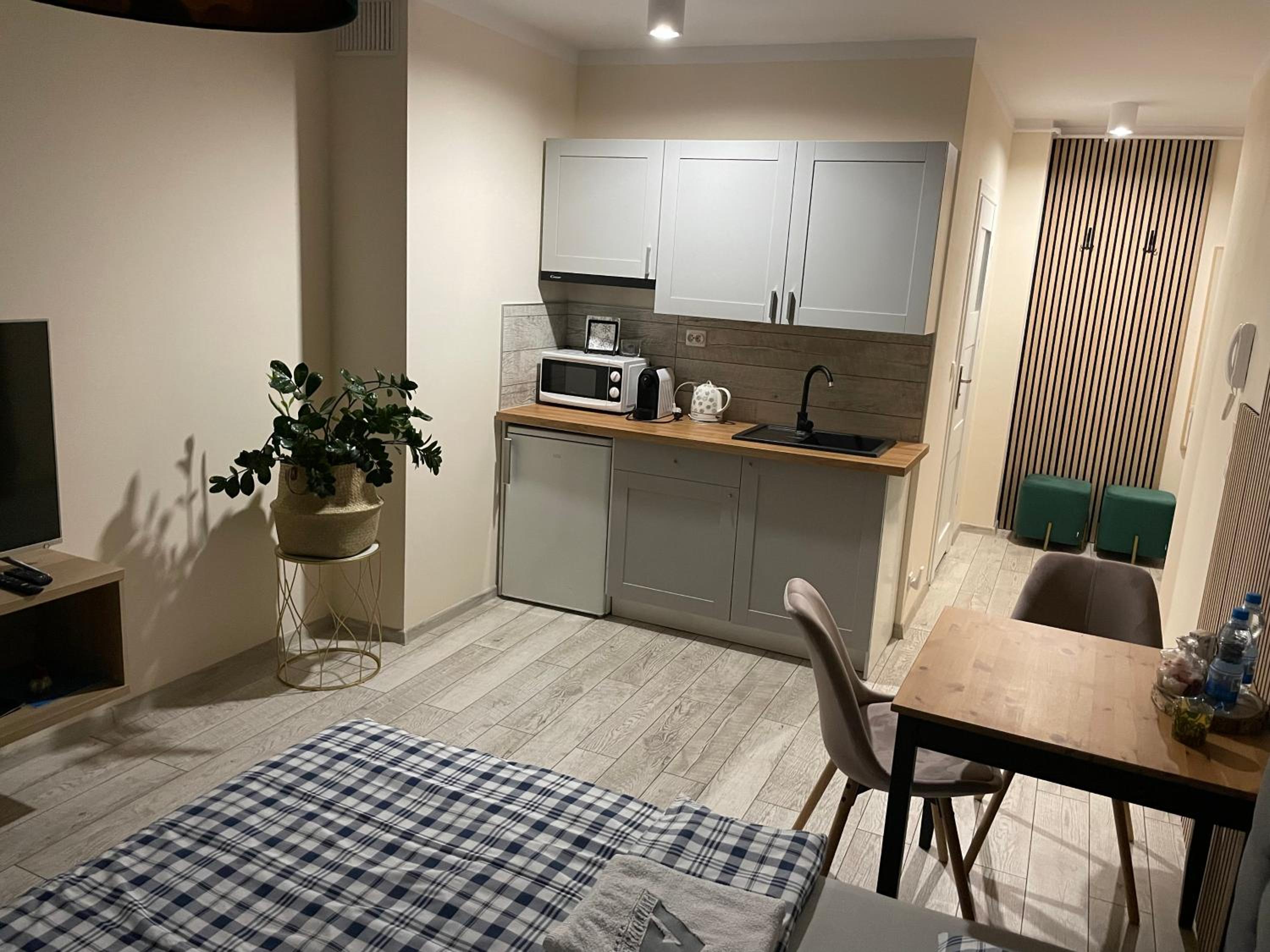 One-Bedroom Apartment - Photo 4