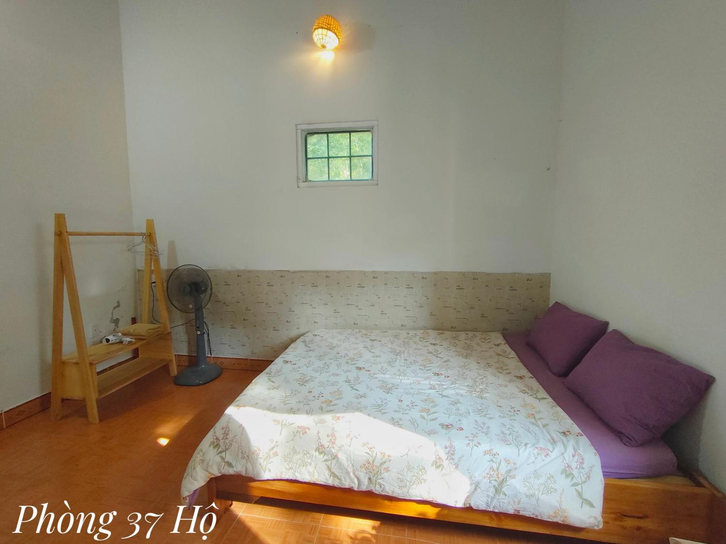 Single Room with Mountain View photo 3