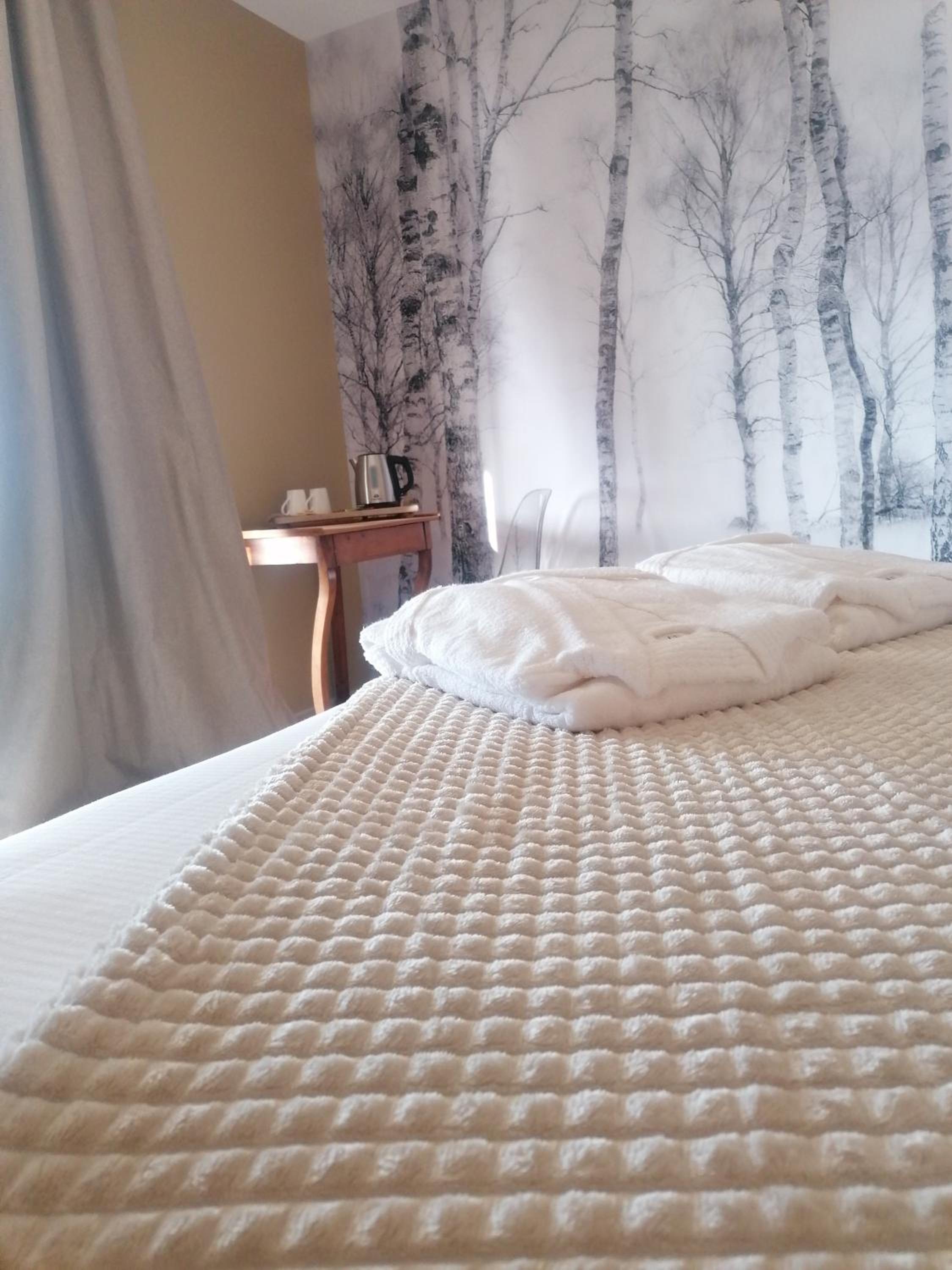 Deluxe Double Room photo 2