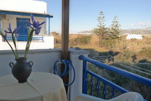 Studio with Sea View photo 2