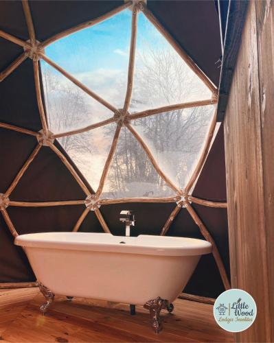 Dome Luna - Photo 4