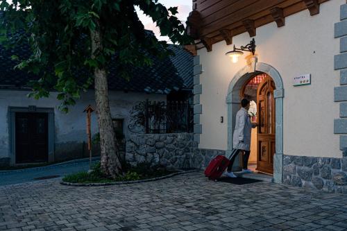 Deluxe Double or Twin Room with Mountain View photo 1
